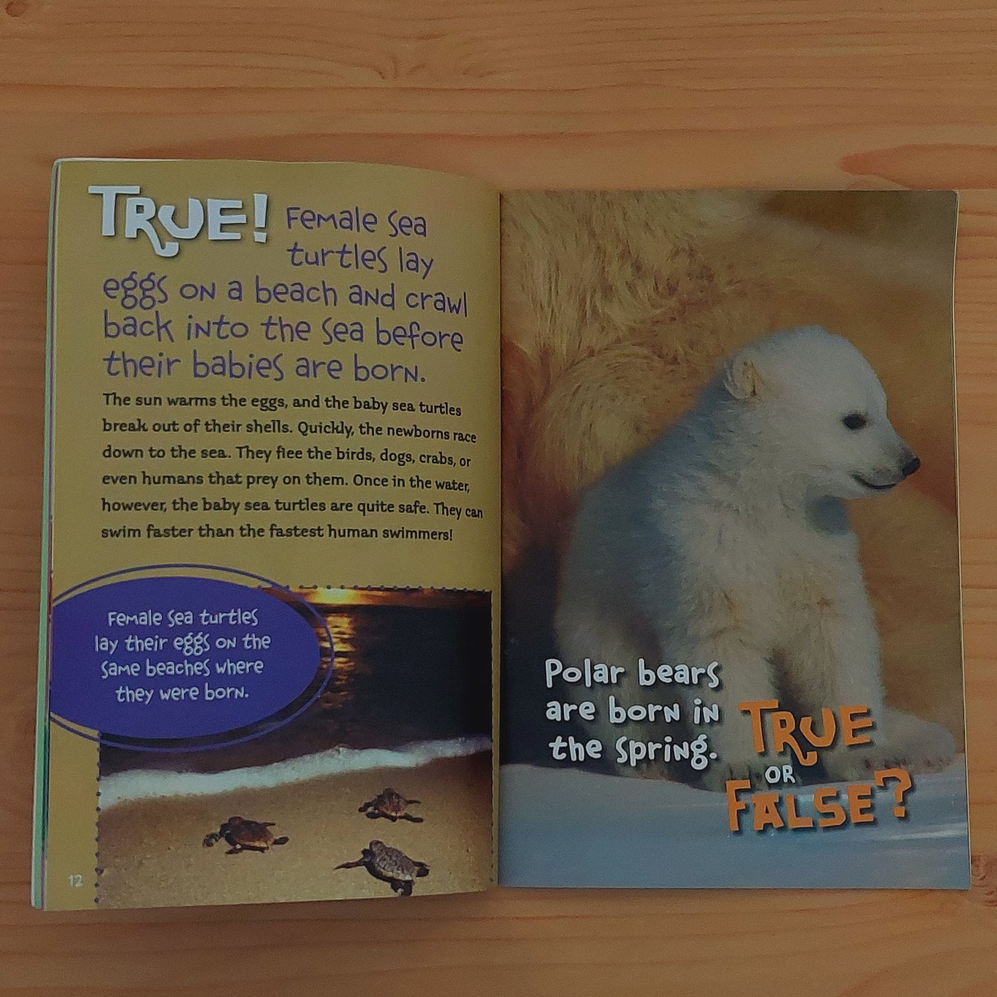 Baby Animals (True or False)