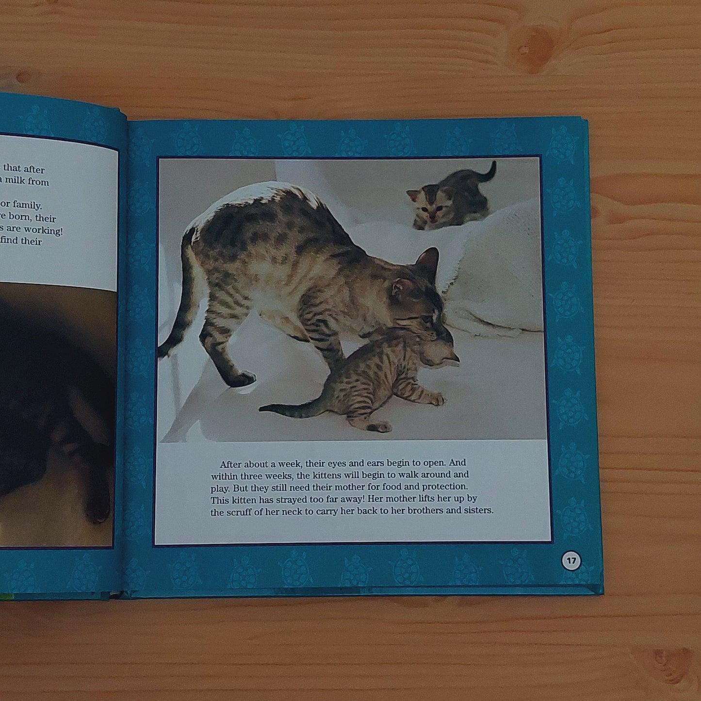 Storybook Treasury of Animals