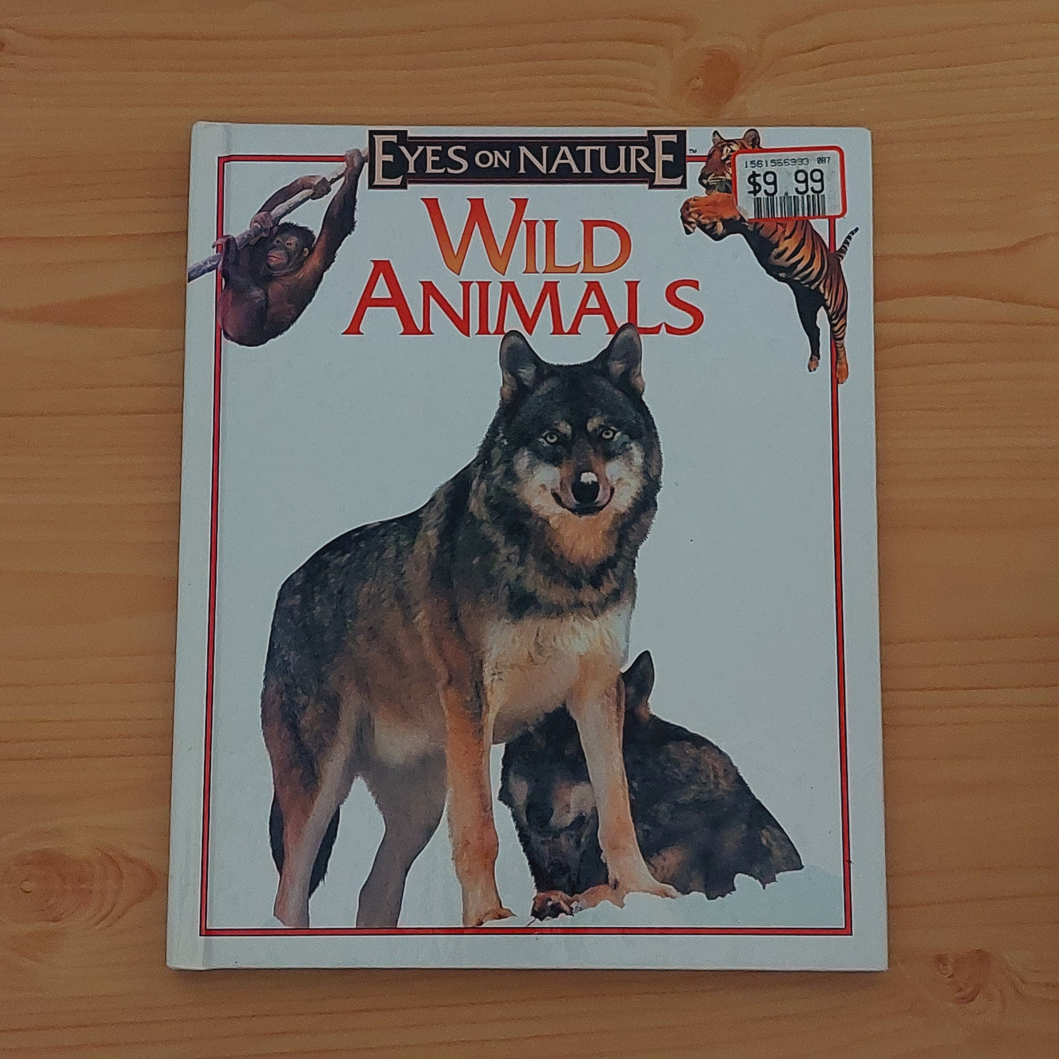 Wild Animals (Eyes on Nature)