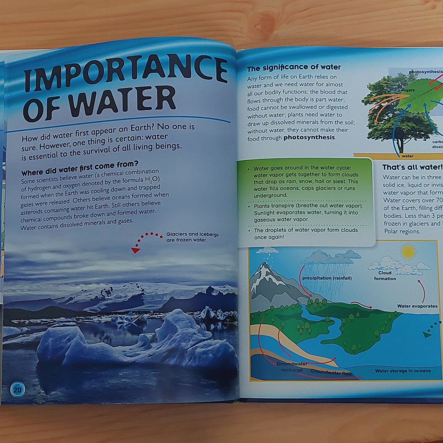 Discover the Earth (Wonders of Learning)