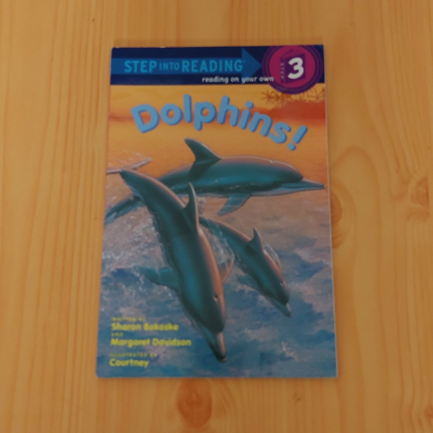 Dolphins! (Level 3)