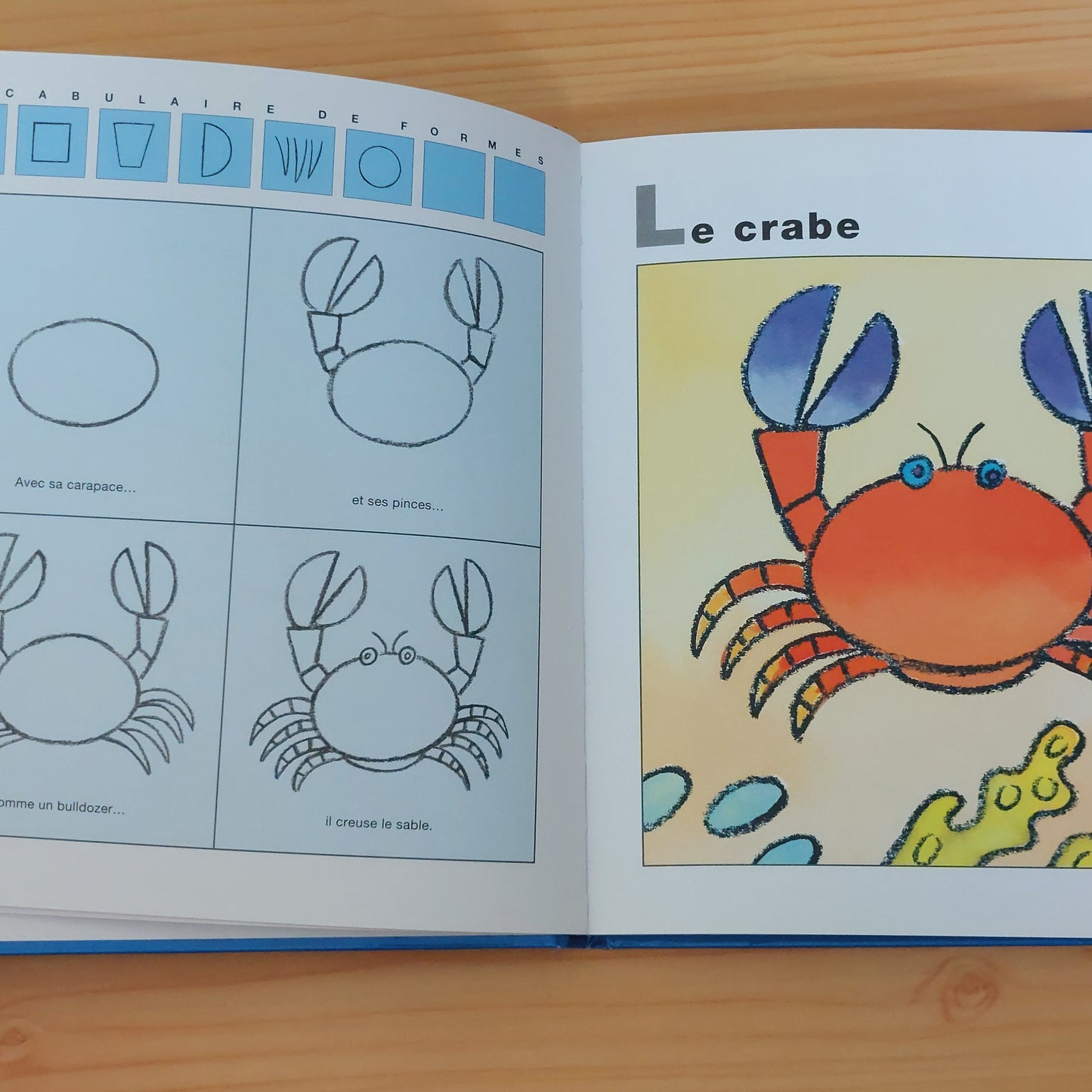 J'apprends à dessiner la nature