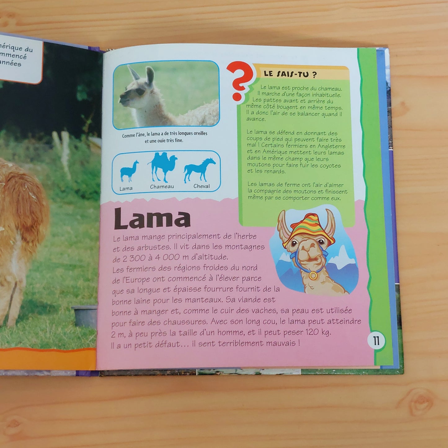 Animaux de la ferme