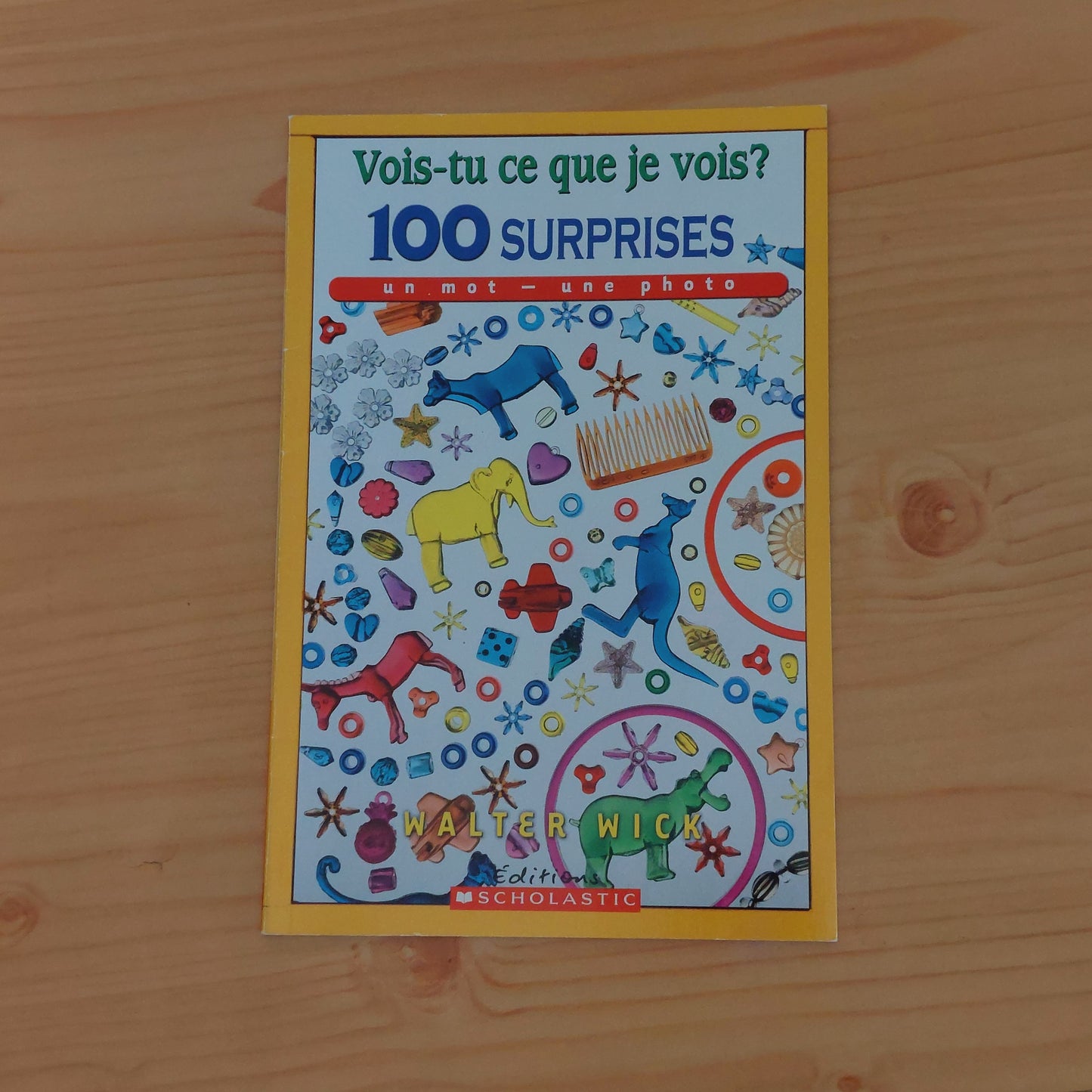 Vois-tu ce que je vois? 100 surprises