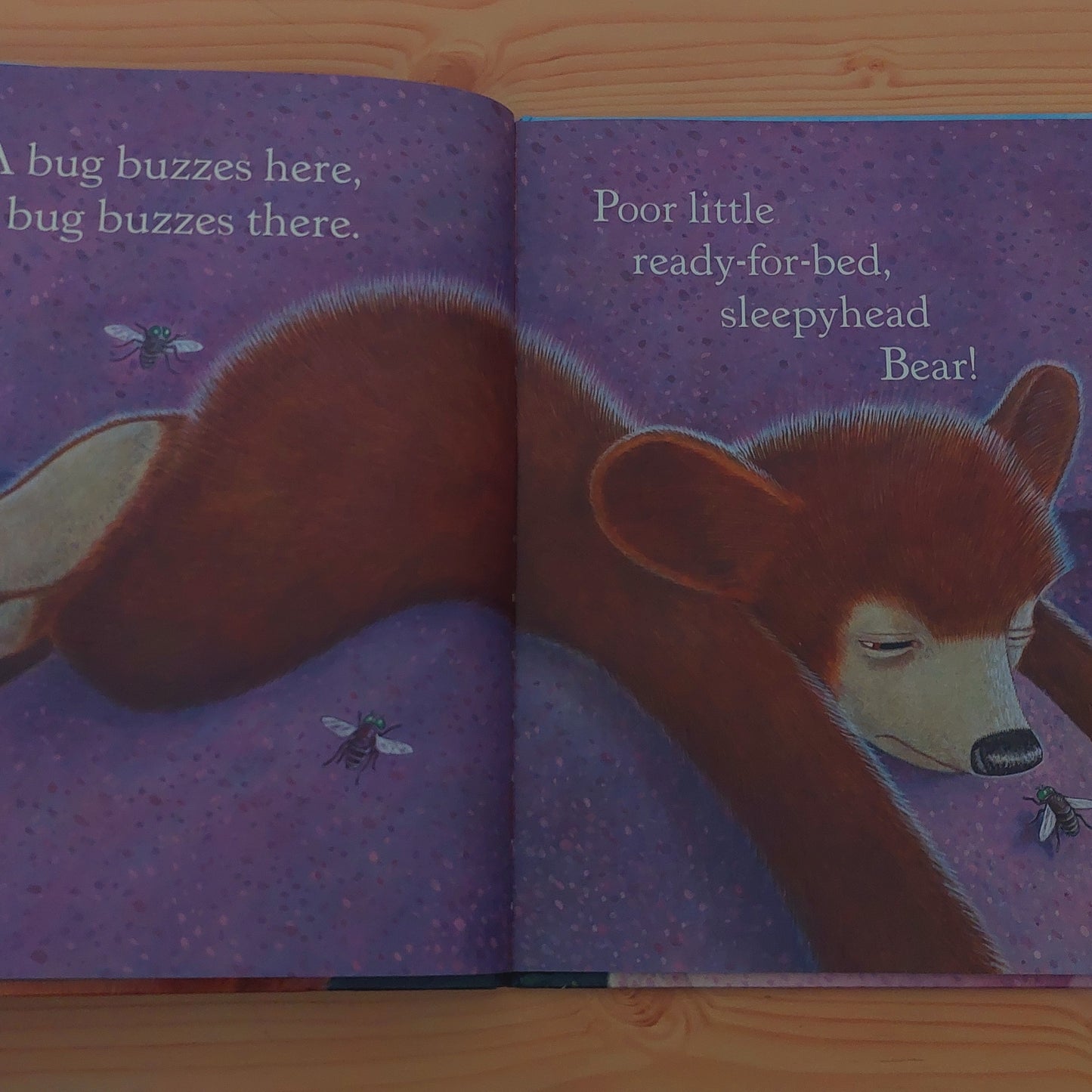 Sleepyhead Bear