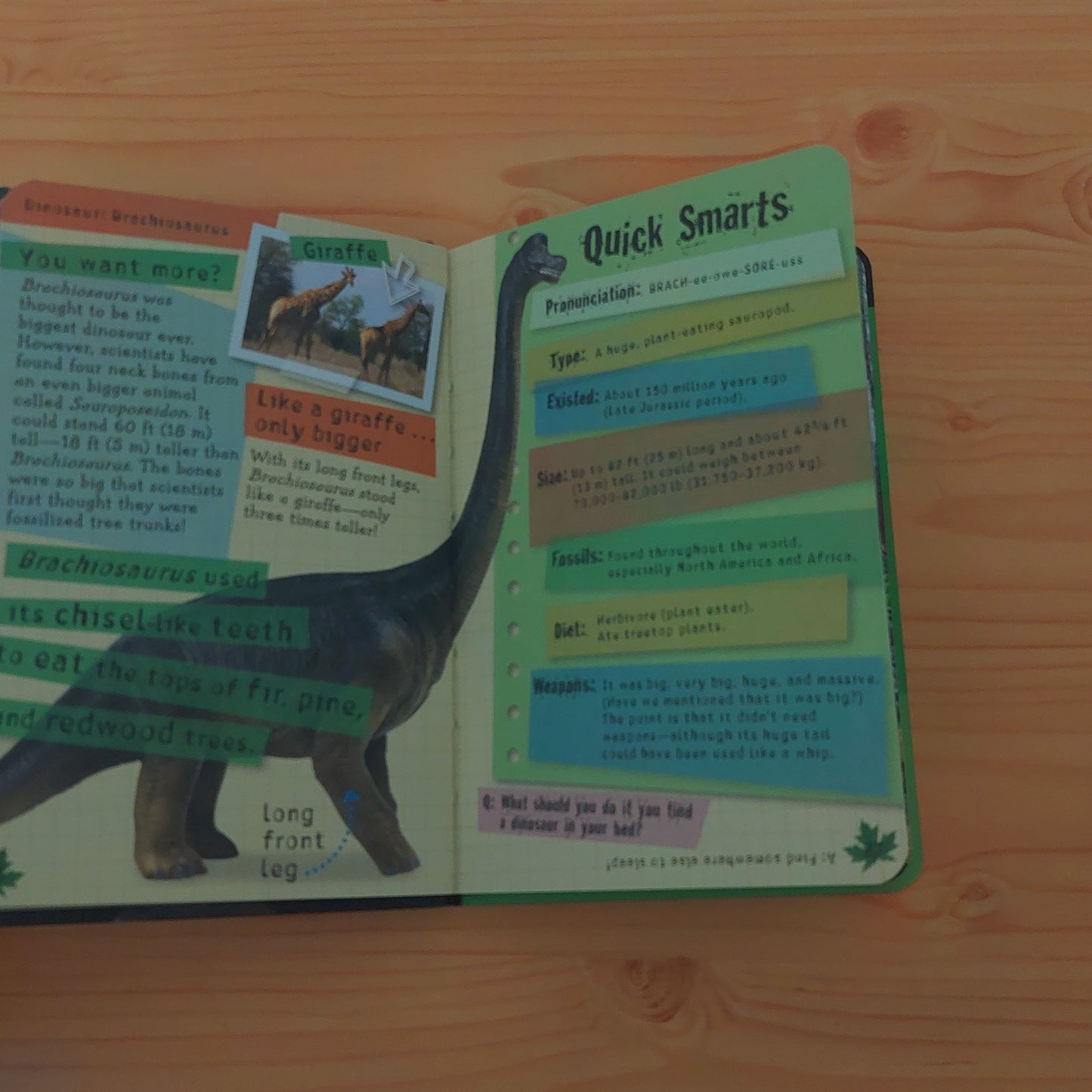 Dinosaurs (Quick Smarts)