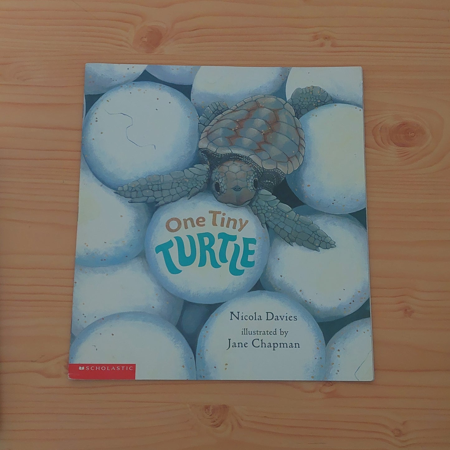 One Tiny Turtle