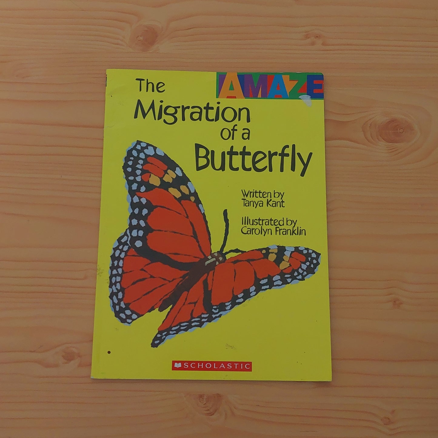 The Migration of a Butterfly