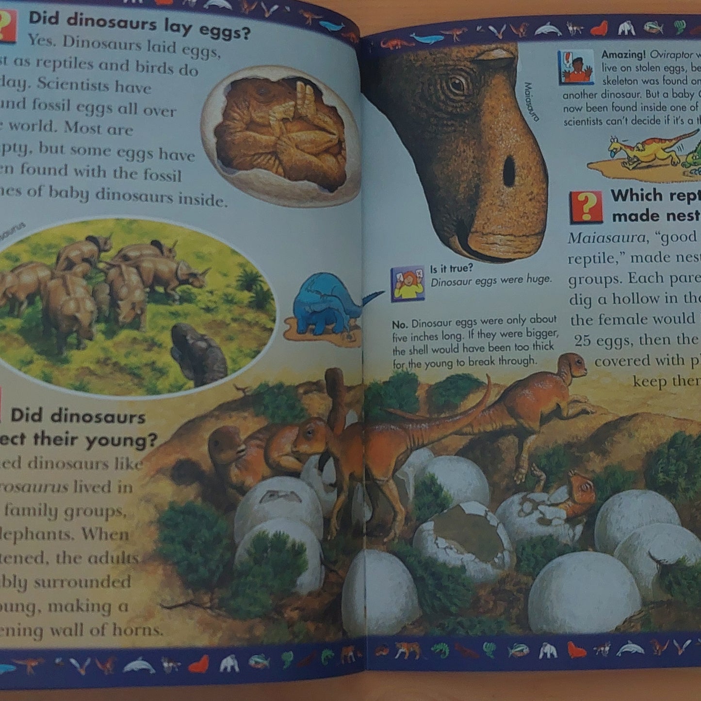 Dinosaurs and Other Prehistoric Reptiles