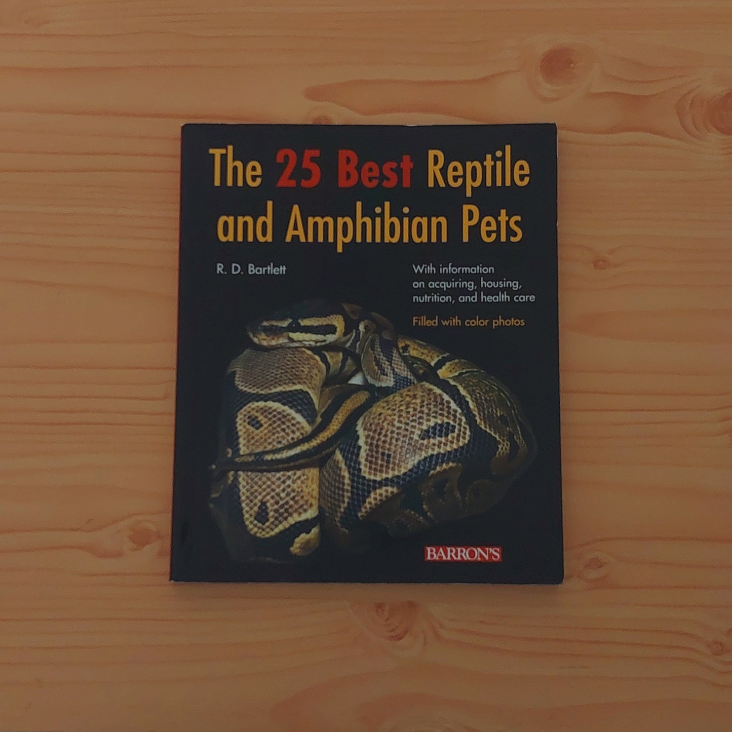 The 23 Best Reptile and Amphibian Pets