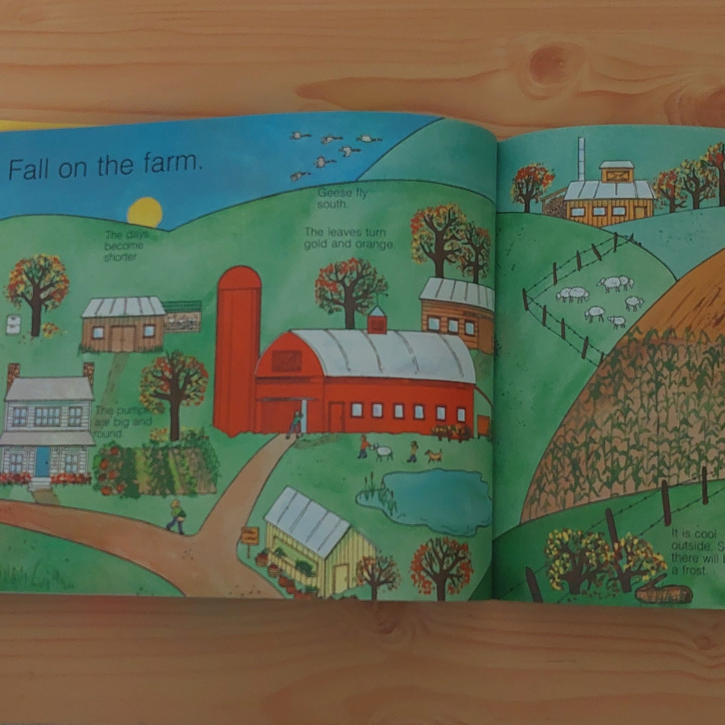 Farming by Gail Gibbons