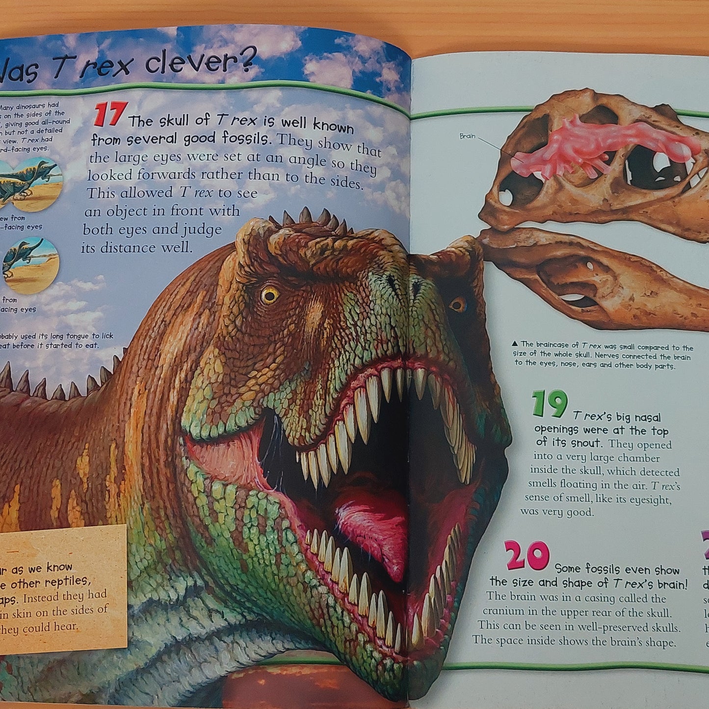 T-Rex - 100 Facts