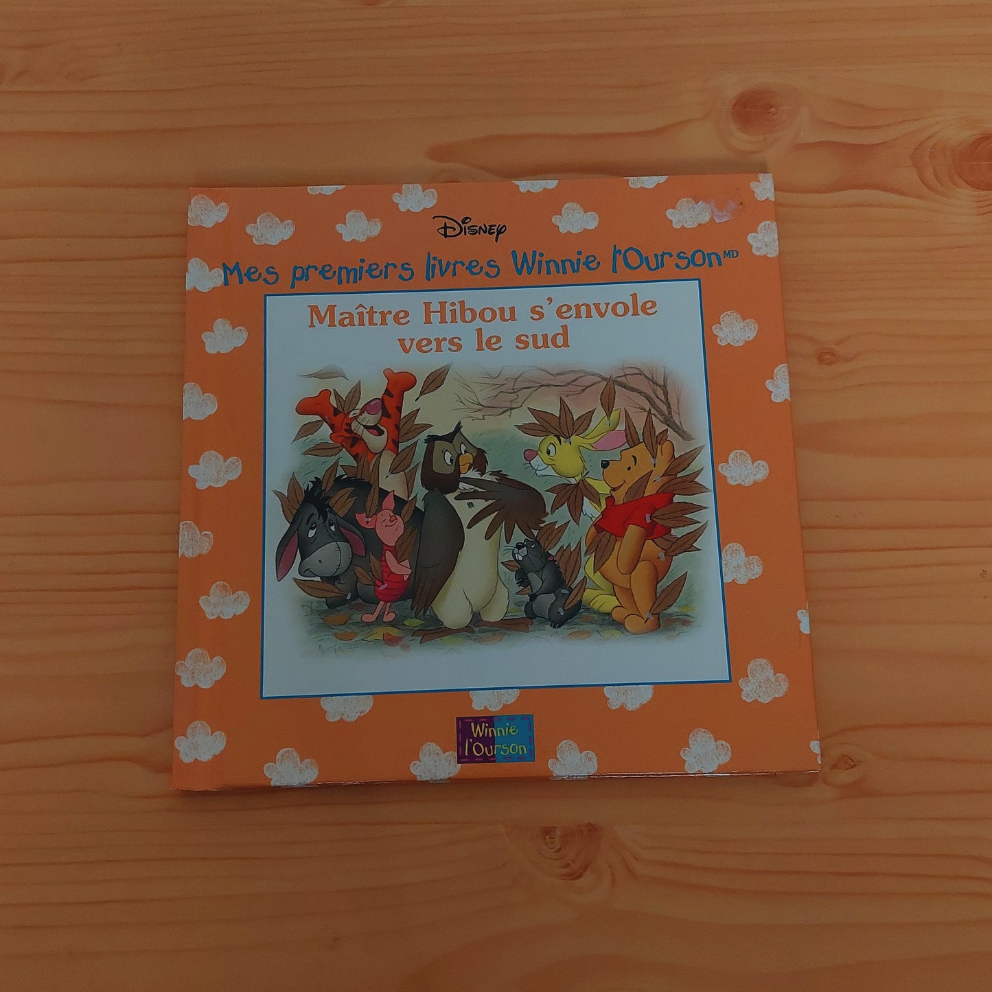 Mes premiers livres Winnie l'Ourson - Maître Hibou s'envoie vers le sud