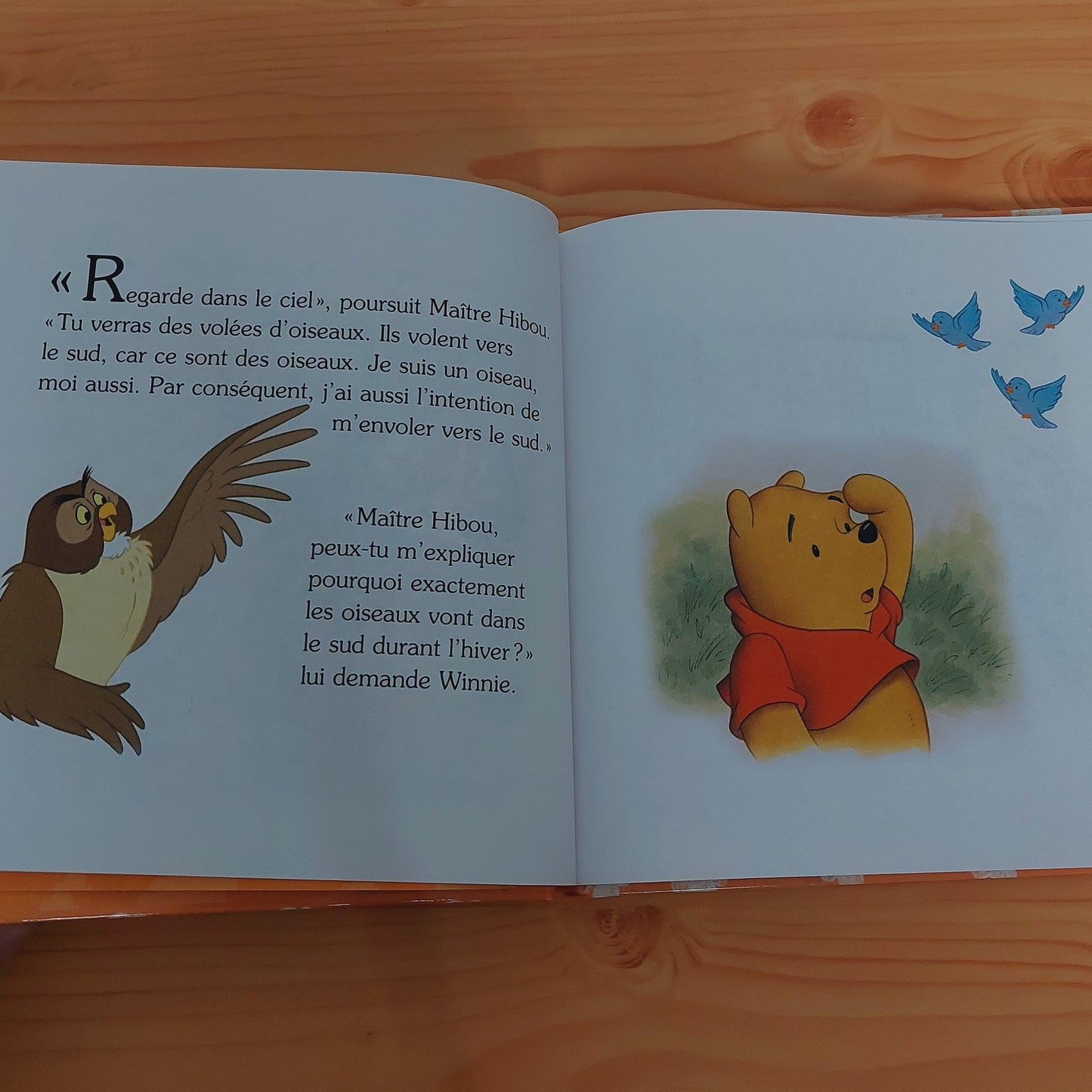 Mes premiers livres Winnie l'Ourson - Maître Hibou s'envoie vers le sud