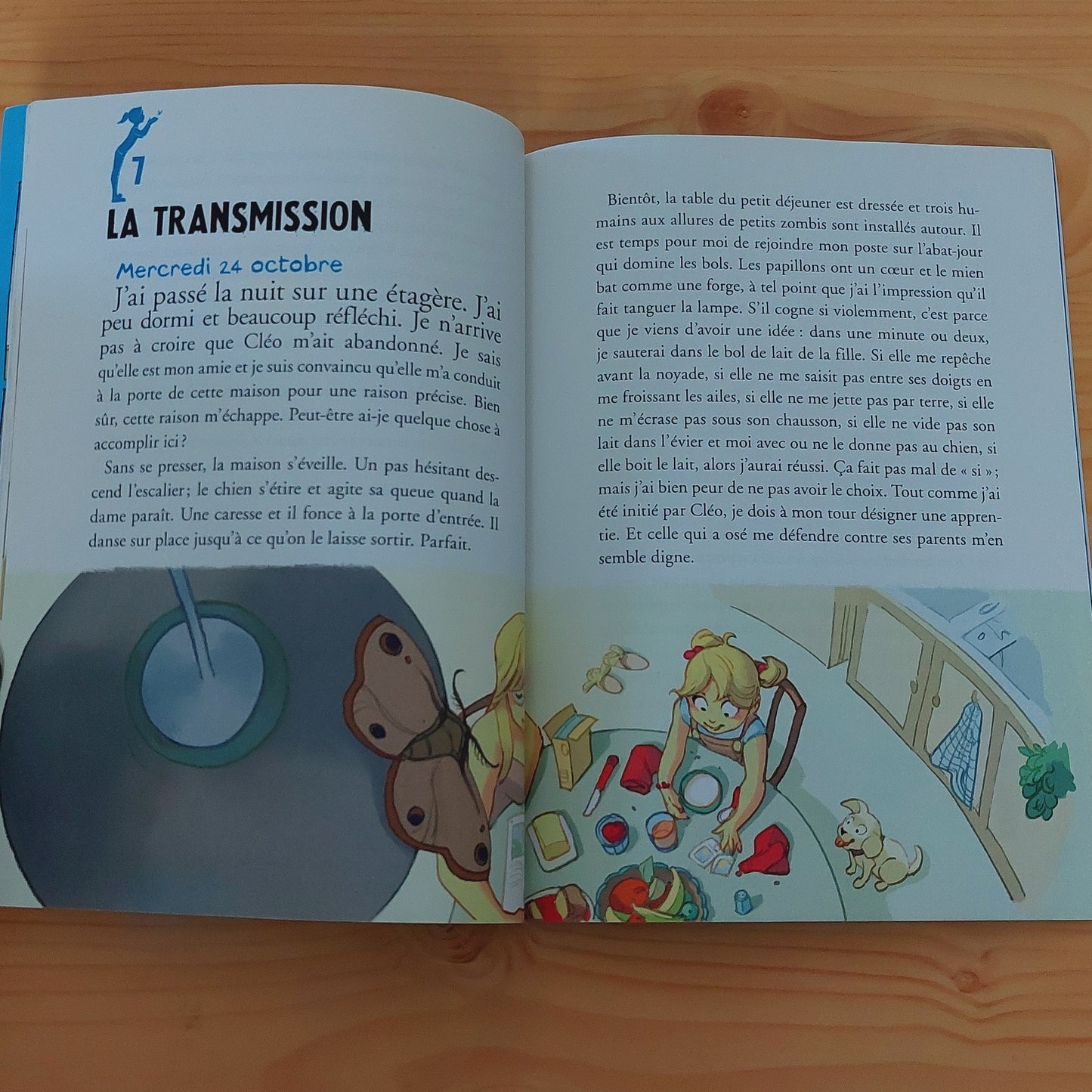 DLire - L'appreti papillon