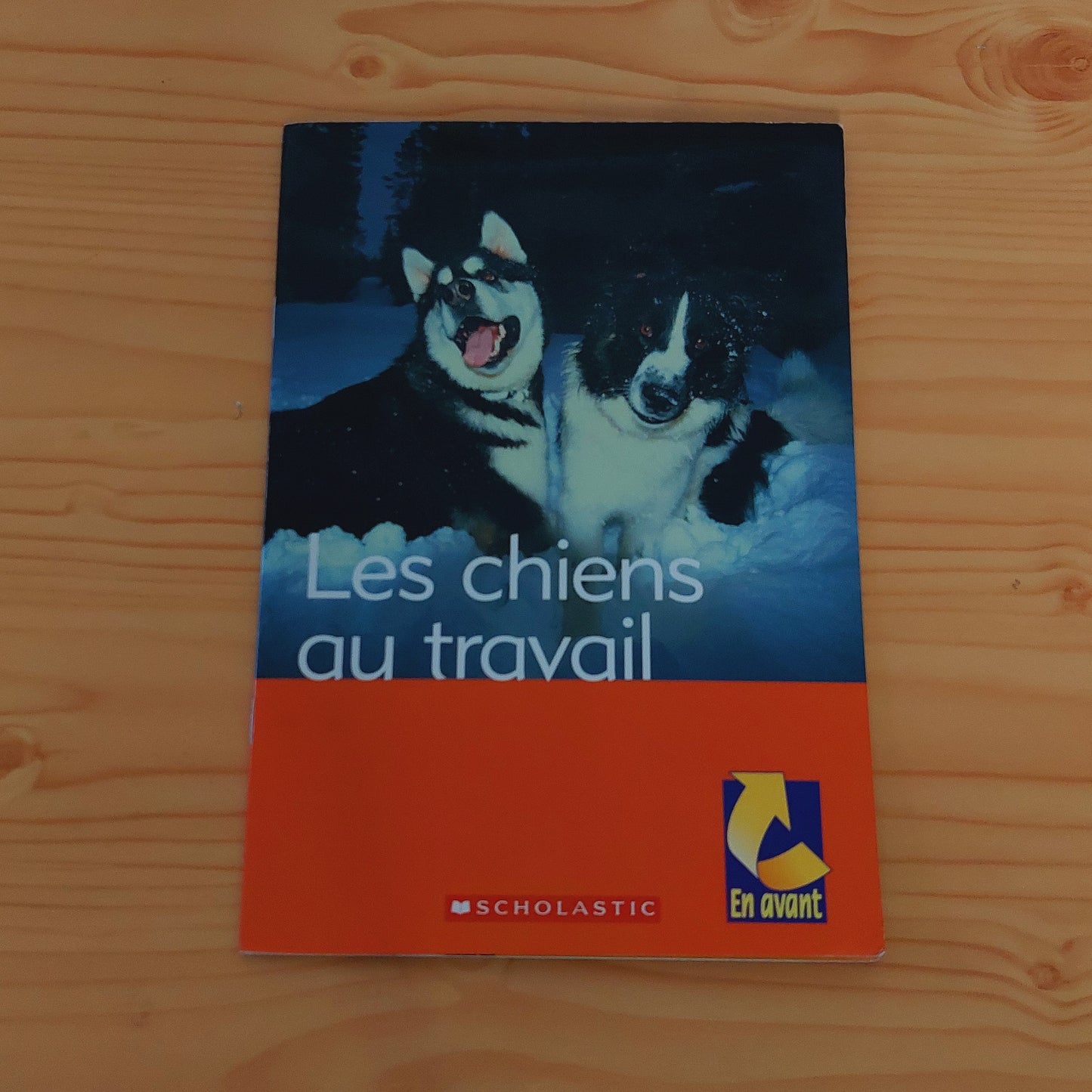 Les chiens au travail