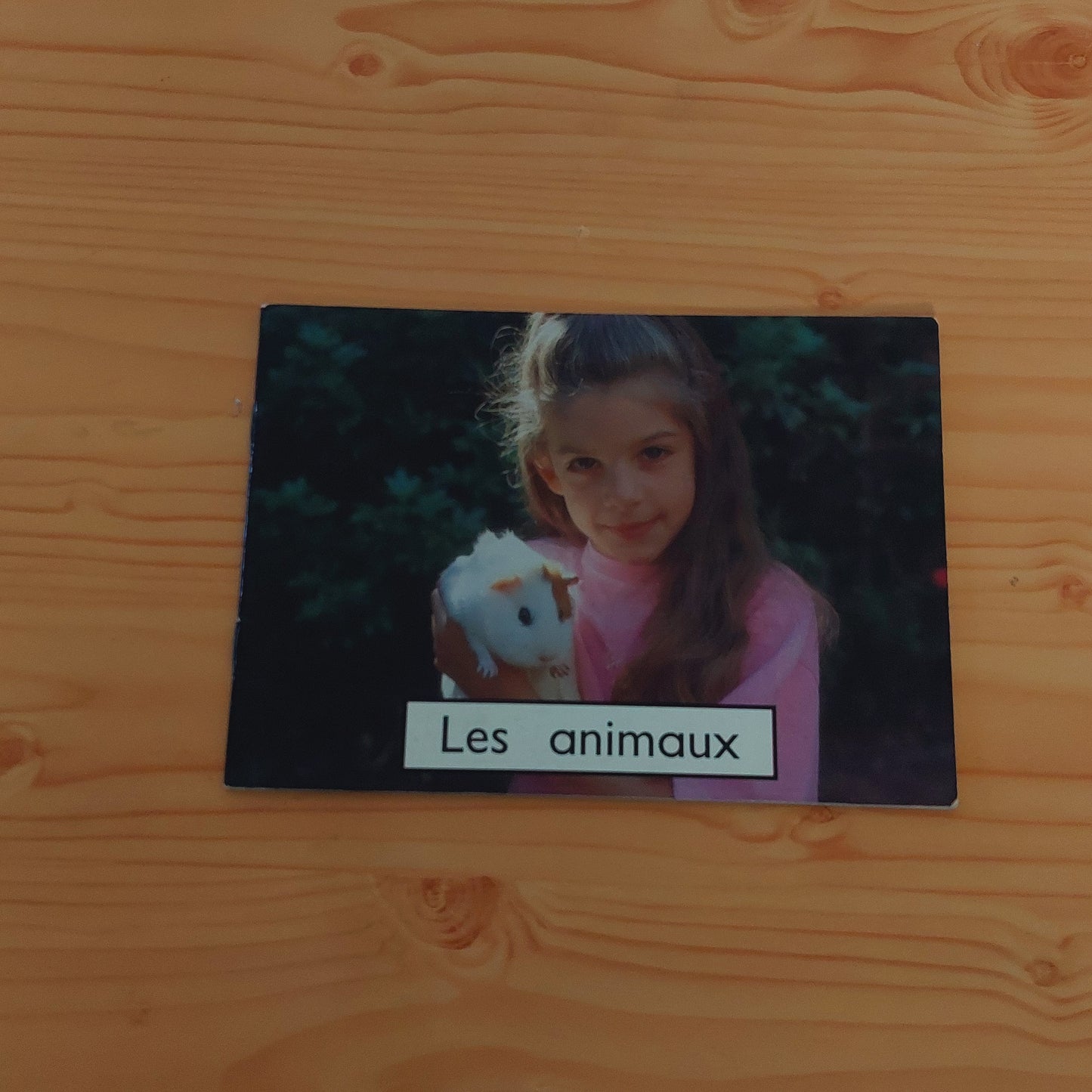 Les animaux
