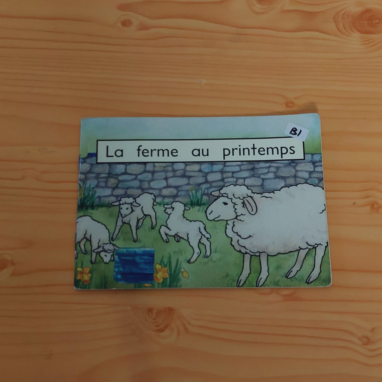 La ferme au printemps