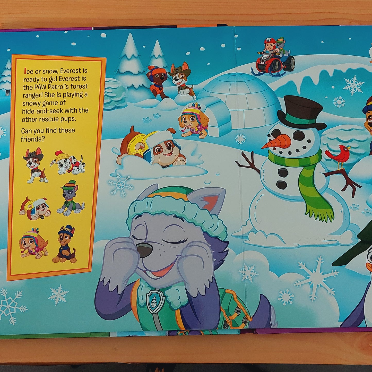 Paw Patrol - Search with Skye!