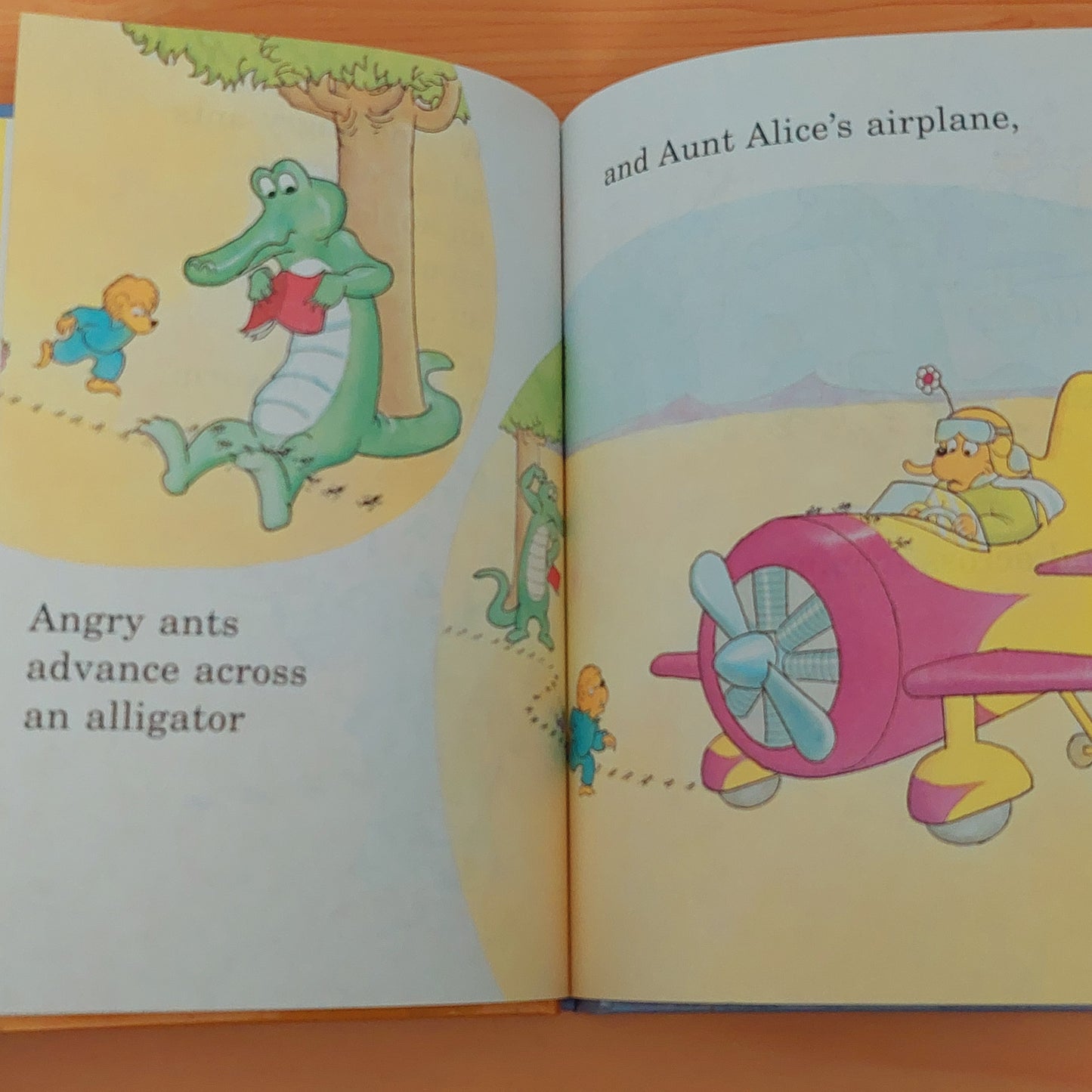 Berenstains' A Book (Berenstain Bears)