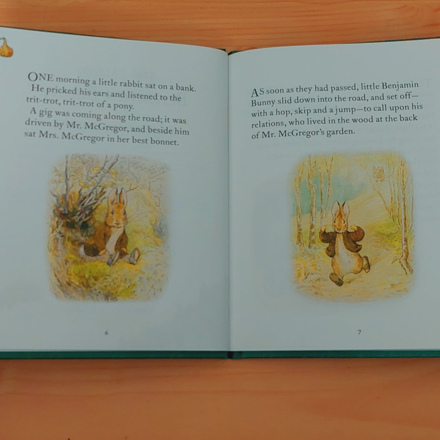 The Tale of Benjamin Bunny by Beatrix Potter