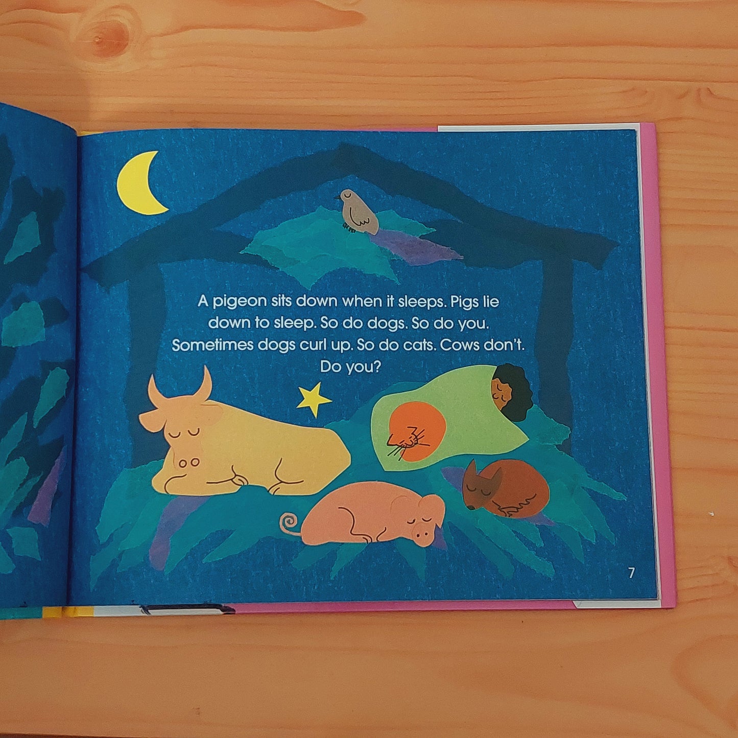 Sleep Is for Everyone (Stage 1 - Let's Read and Find Out Science)