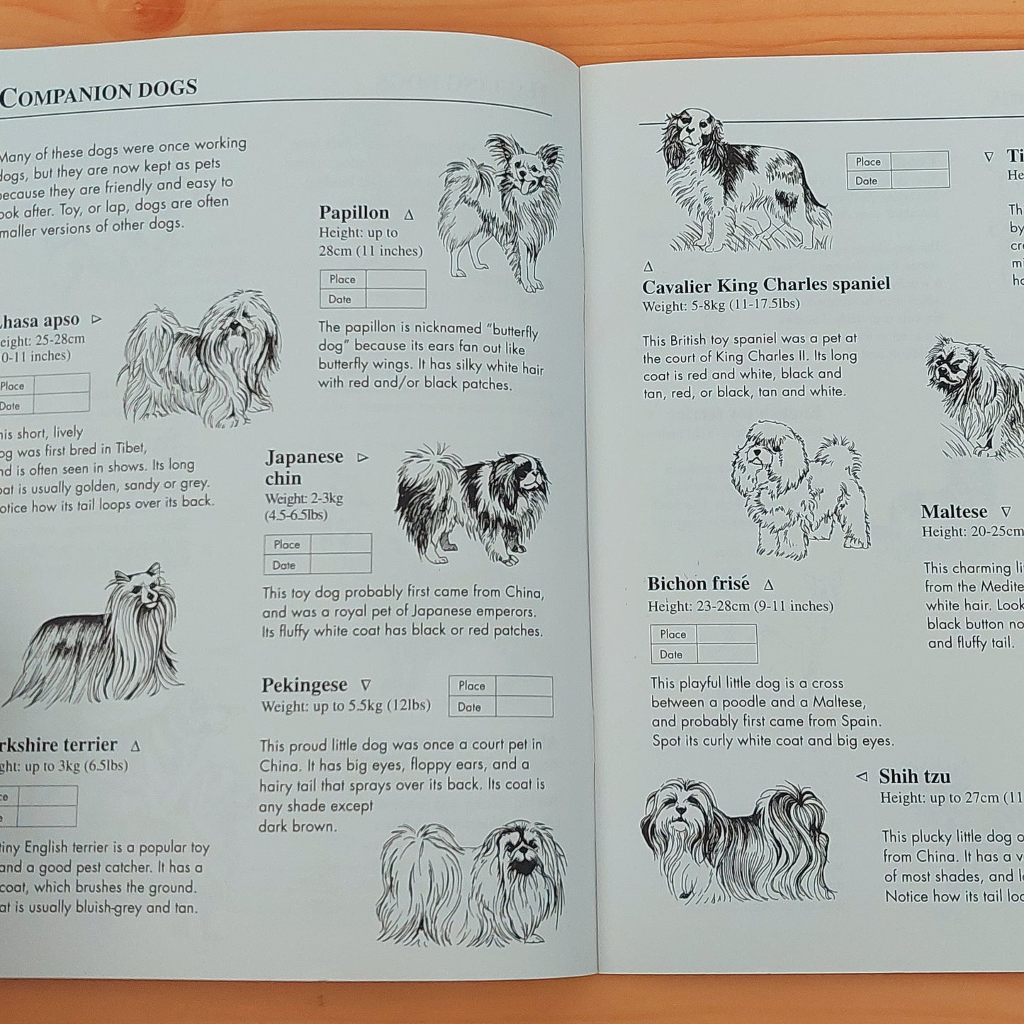 Dogs Sticker Book