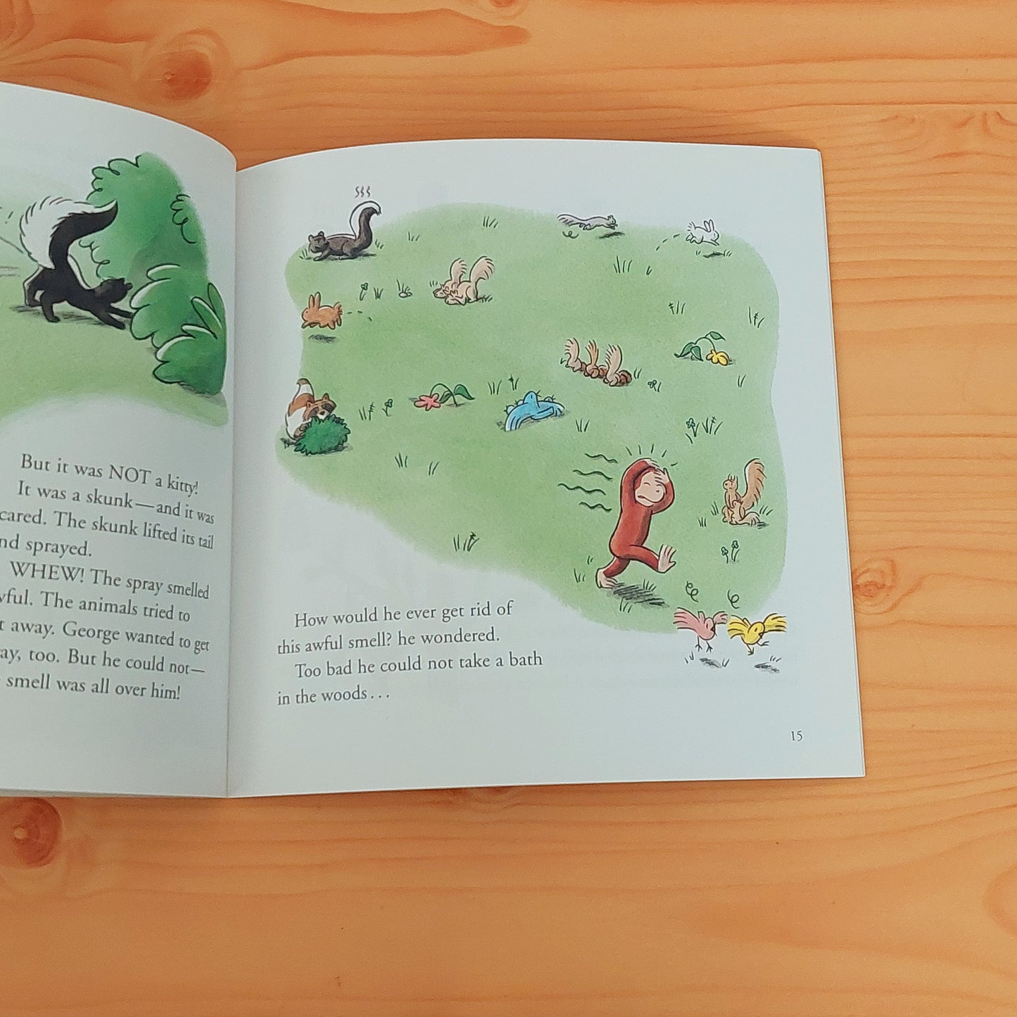 Curious George Goes Camping