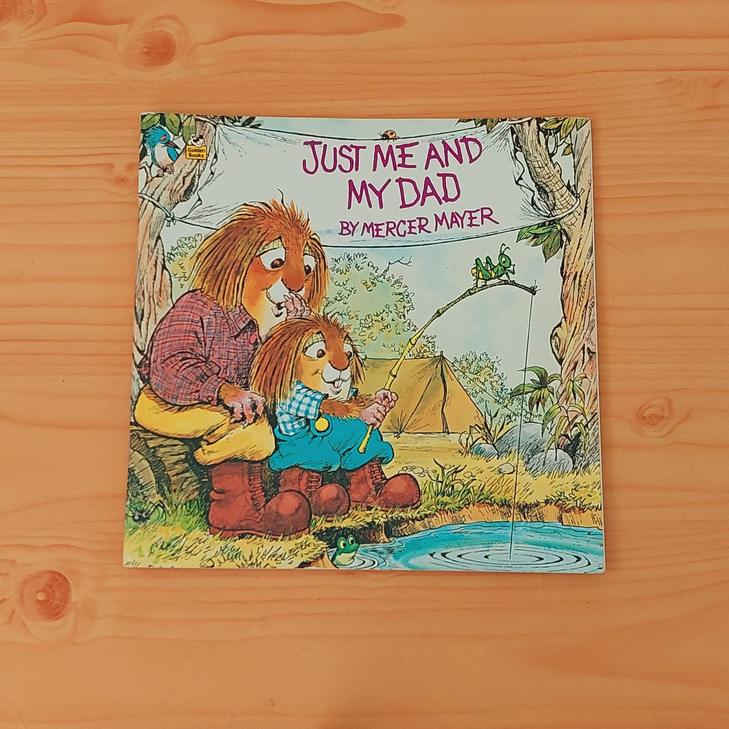 Just Me and My Dad! by Mercer Mayer
