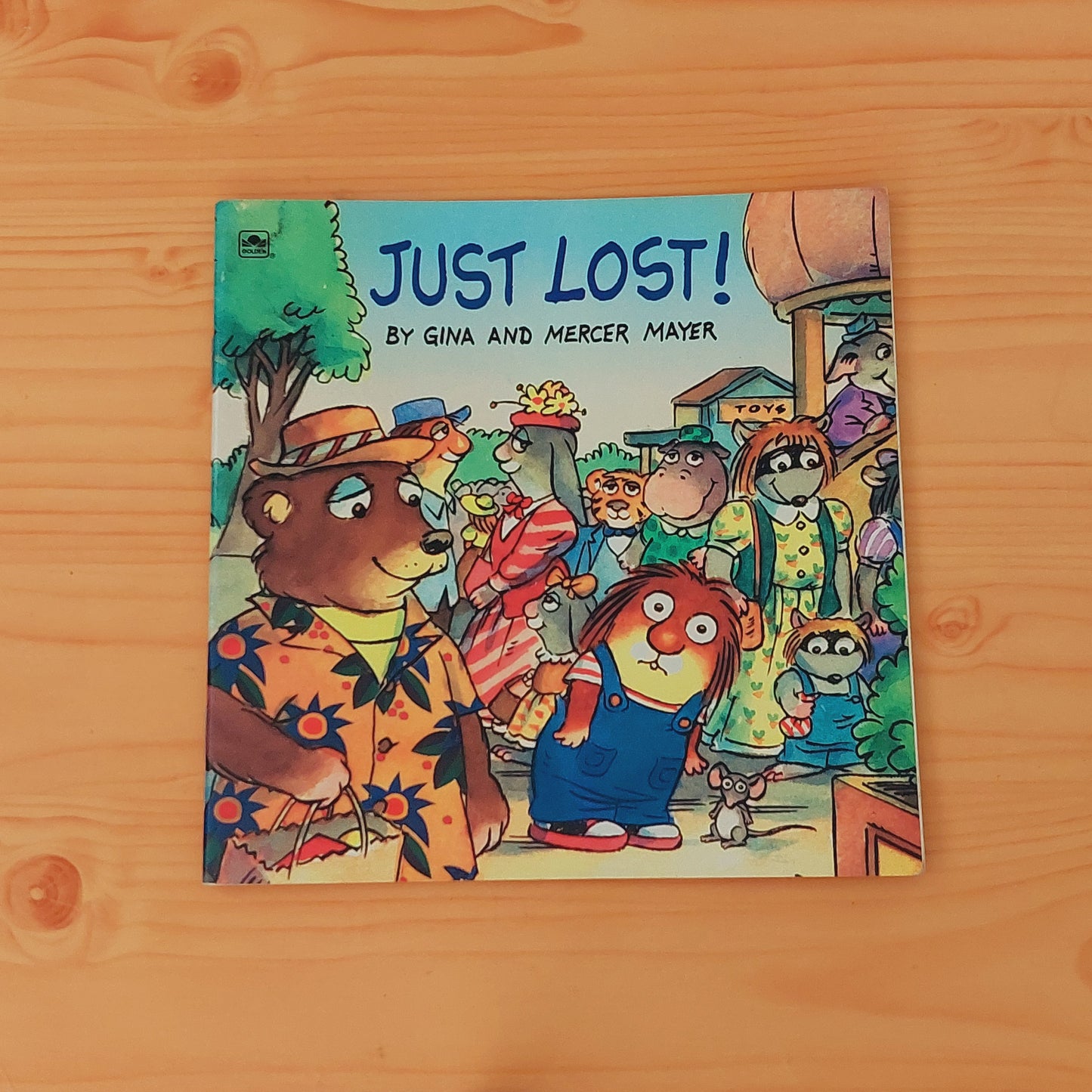 Just Lost! by Mercer Mayer