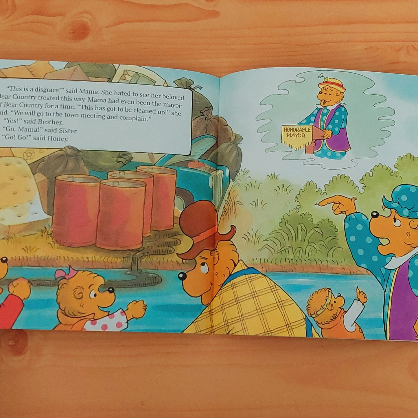 The Berenstain Bears' Go Green