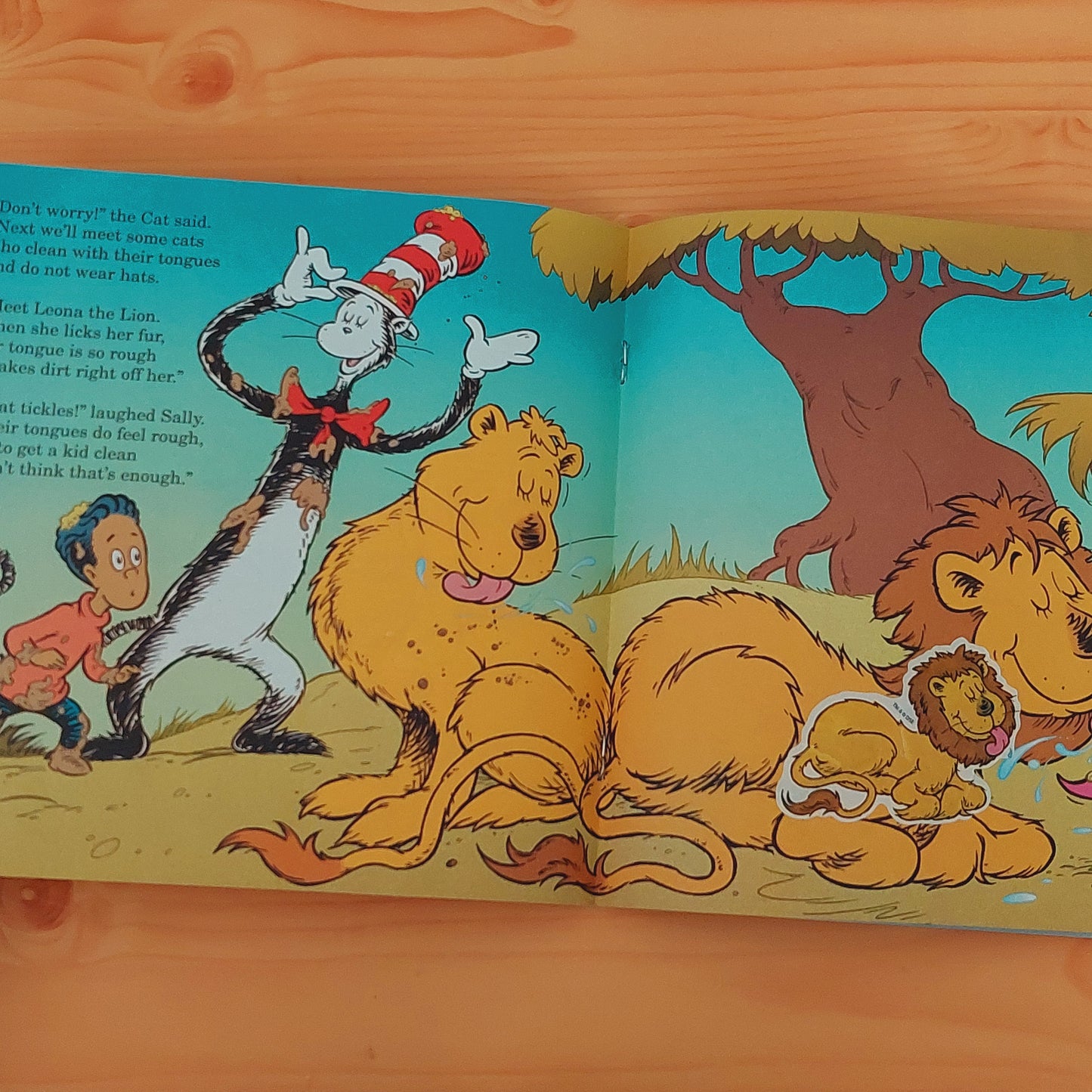 How Wet Can You Get? - The Cat in the Hat Knows a Lot About That!