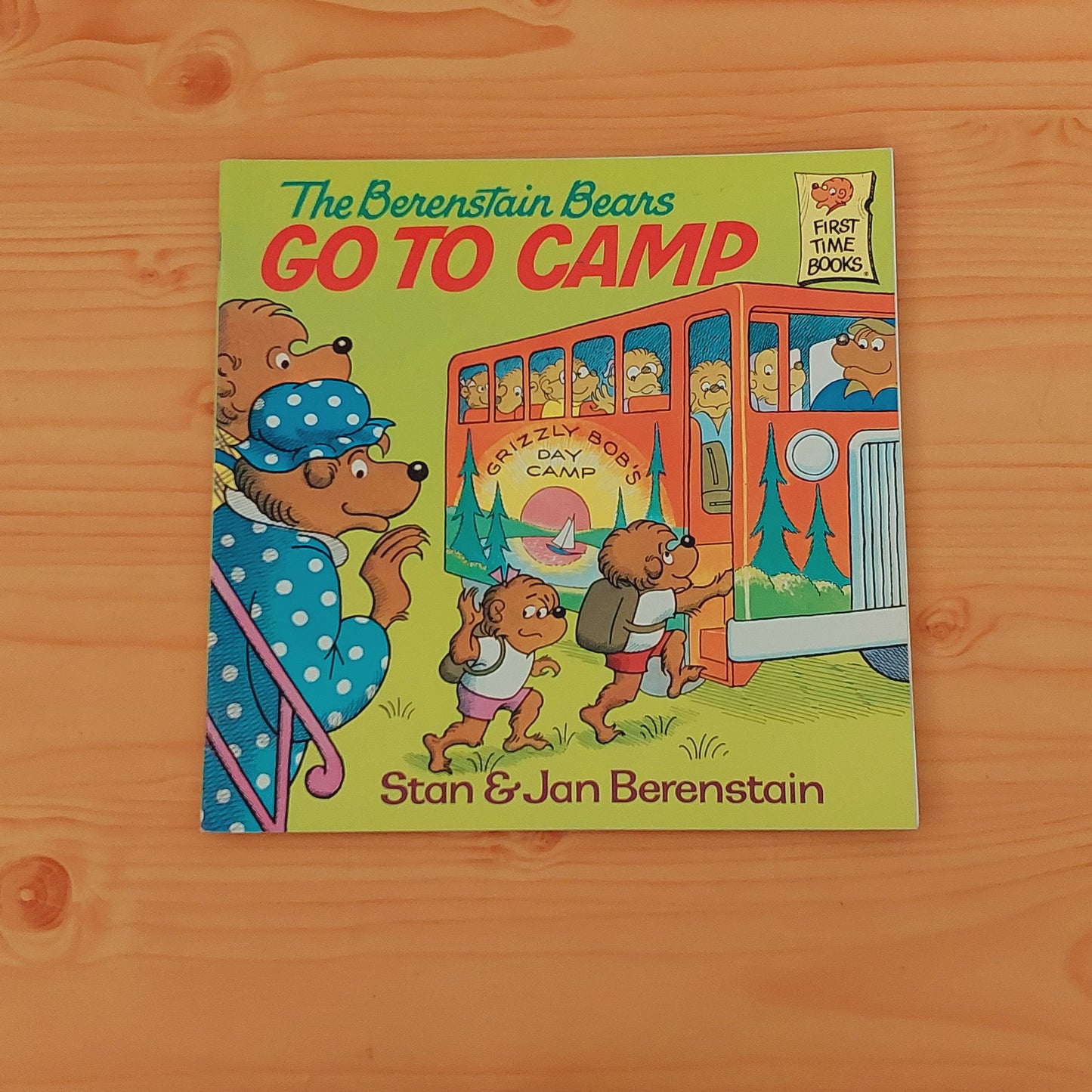 The Berenstain Bears Go to Camp