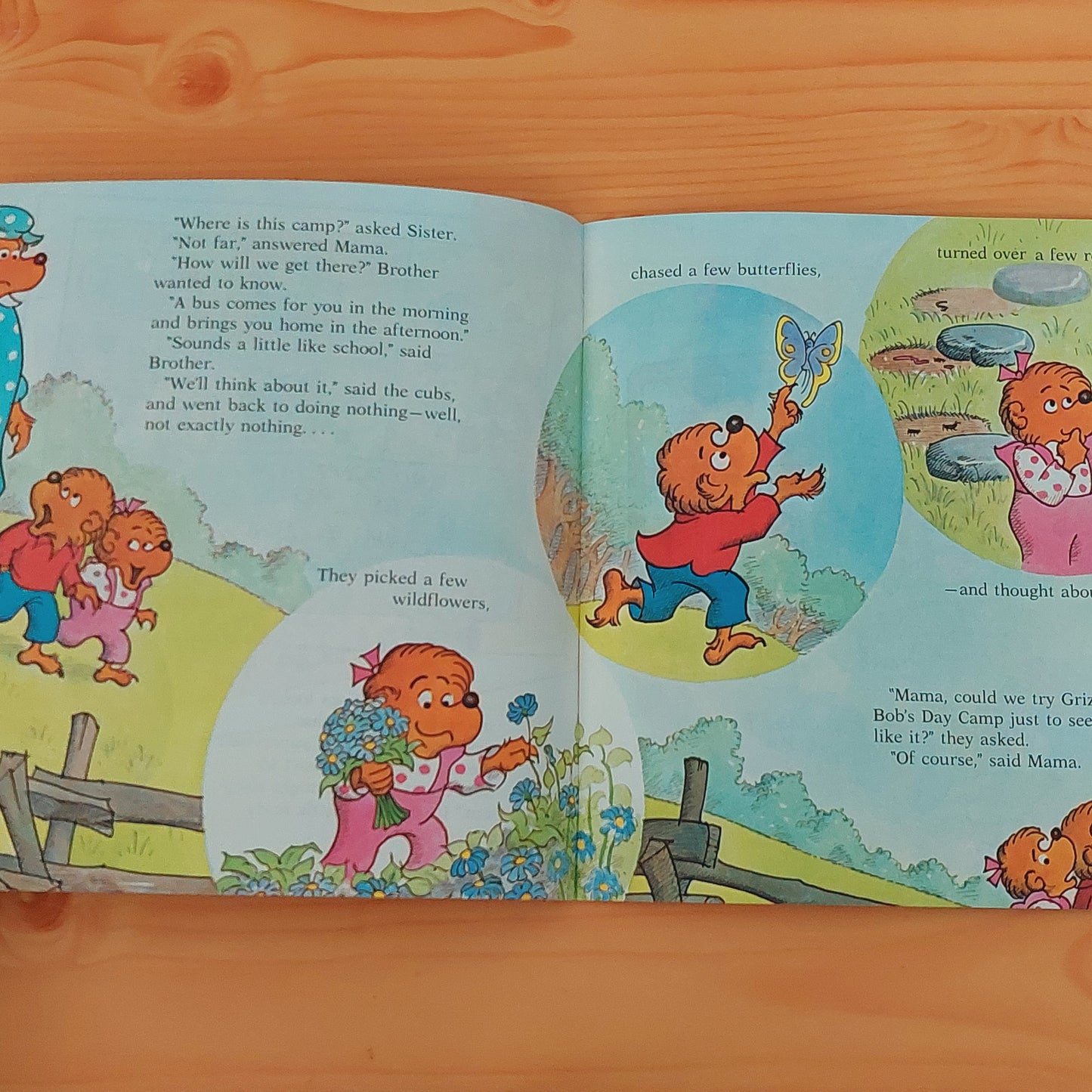 The Berenstain Bears Go to Camp
