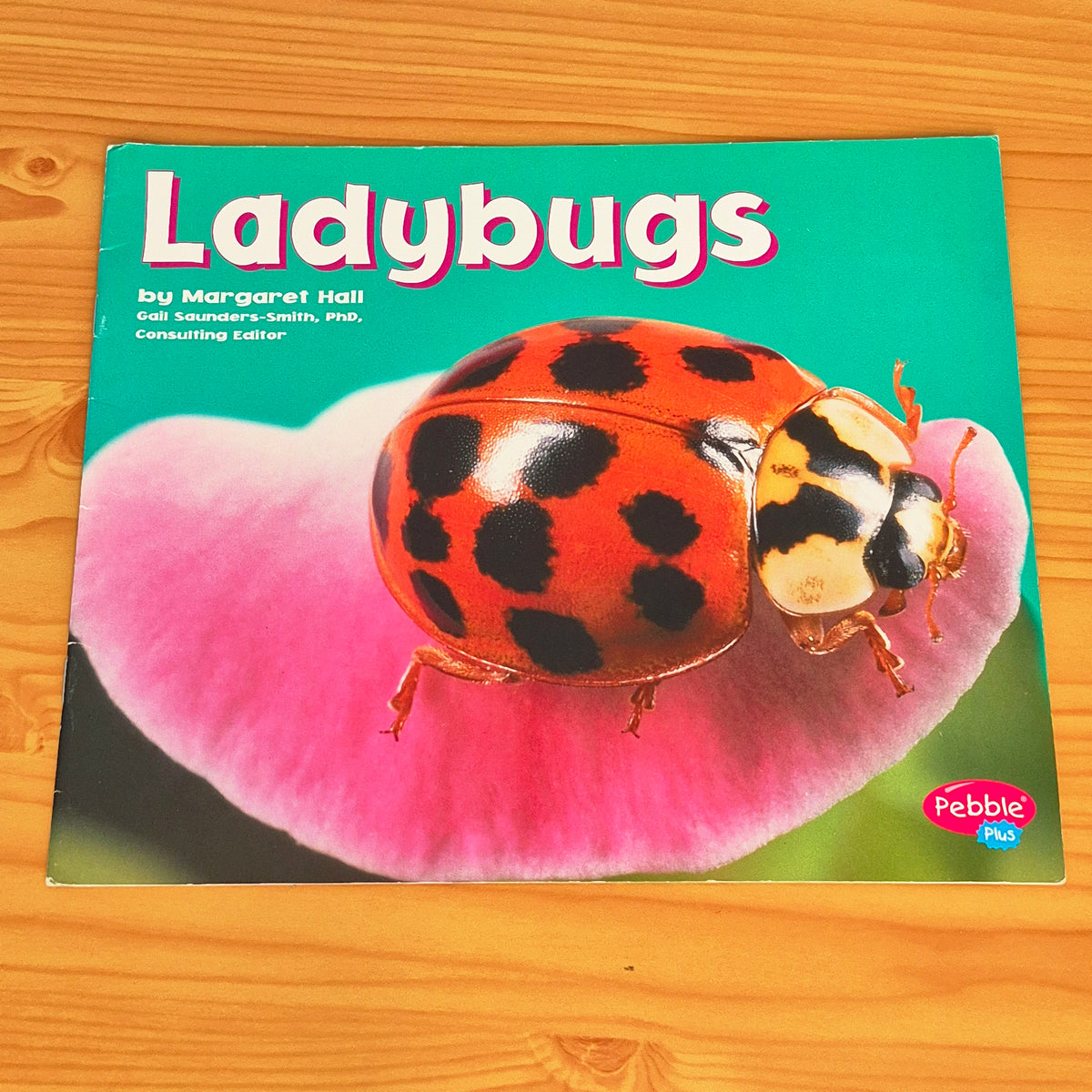 Ladybugs