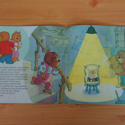 The Berenstain Bears and the Bully