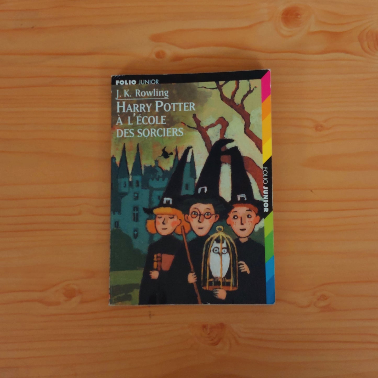 Harry Potter à l'école des sorciers