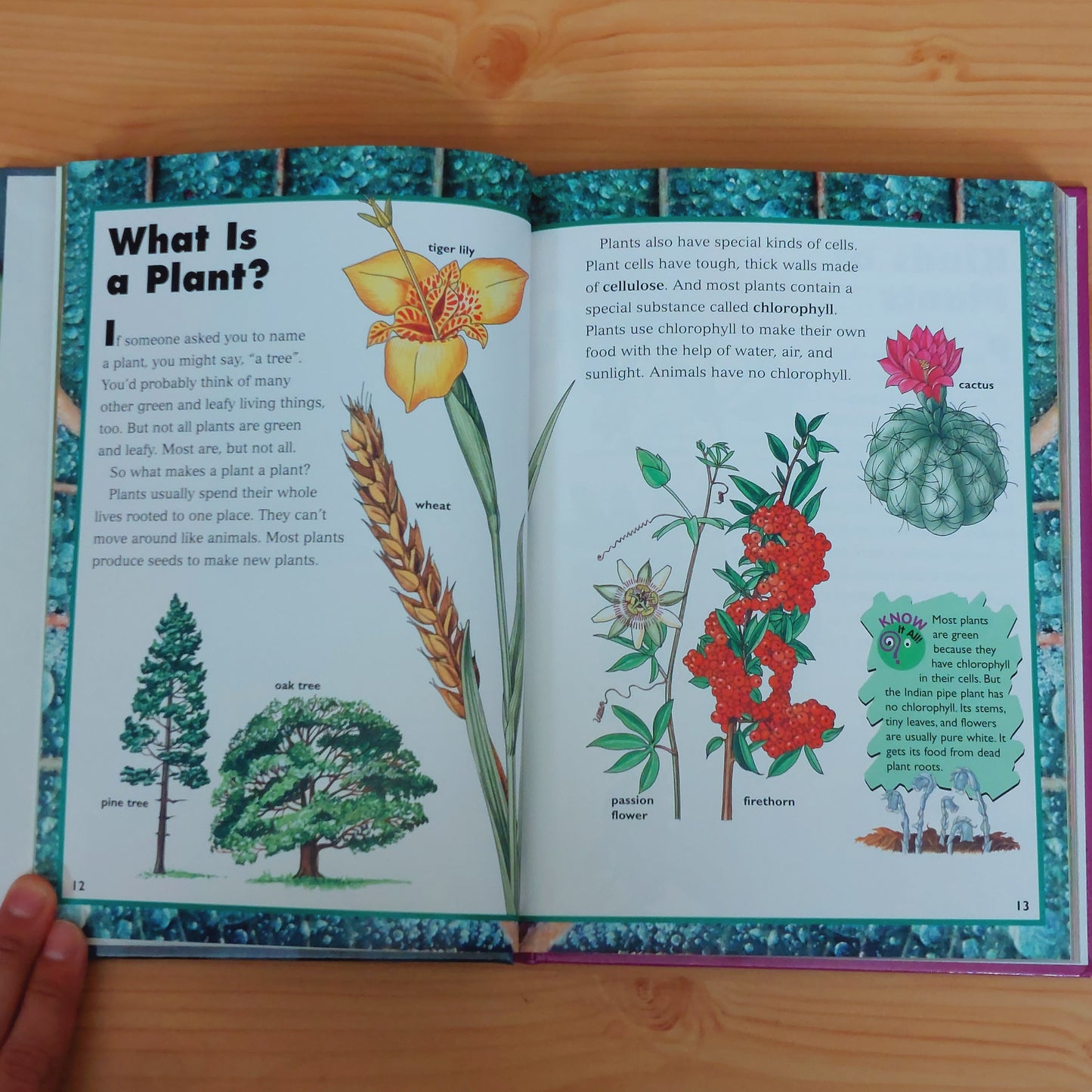 The World of Plants (World Book's Childcraft)