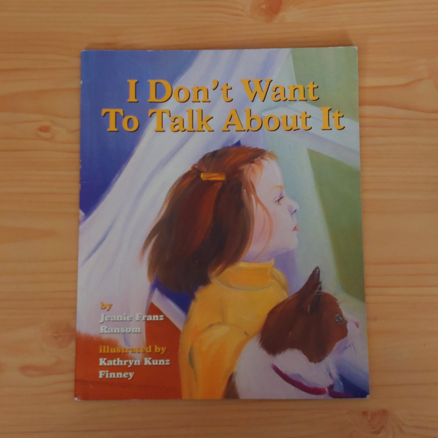 I Don't Want to Talk About It (A Book About Divorce)