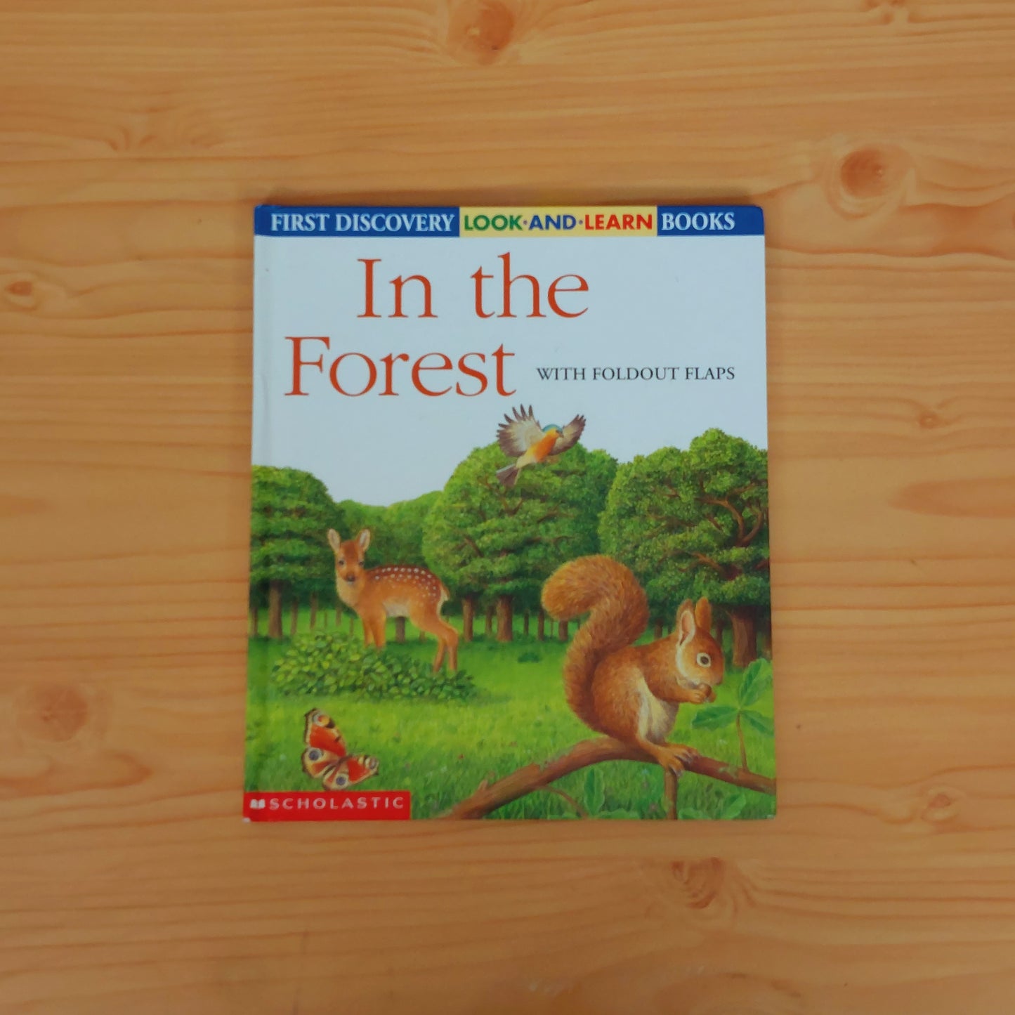 In the Forest (First Discovery Look-and-Learn Books)