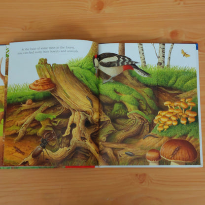 In the Forest (First Discovery Look-and-Learn Books)