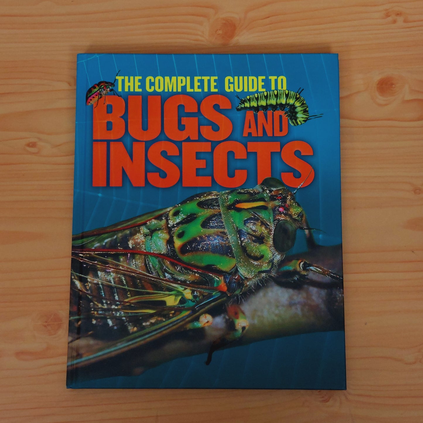 The Complete Guide to Bugs and Insects