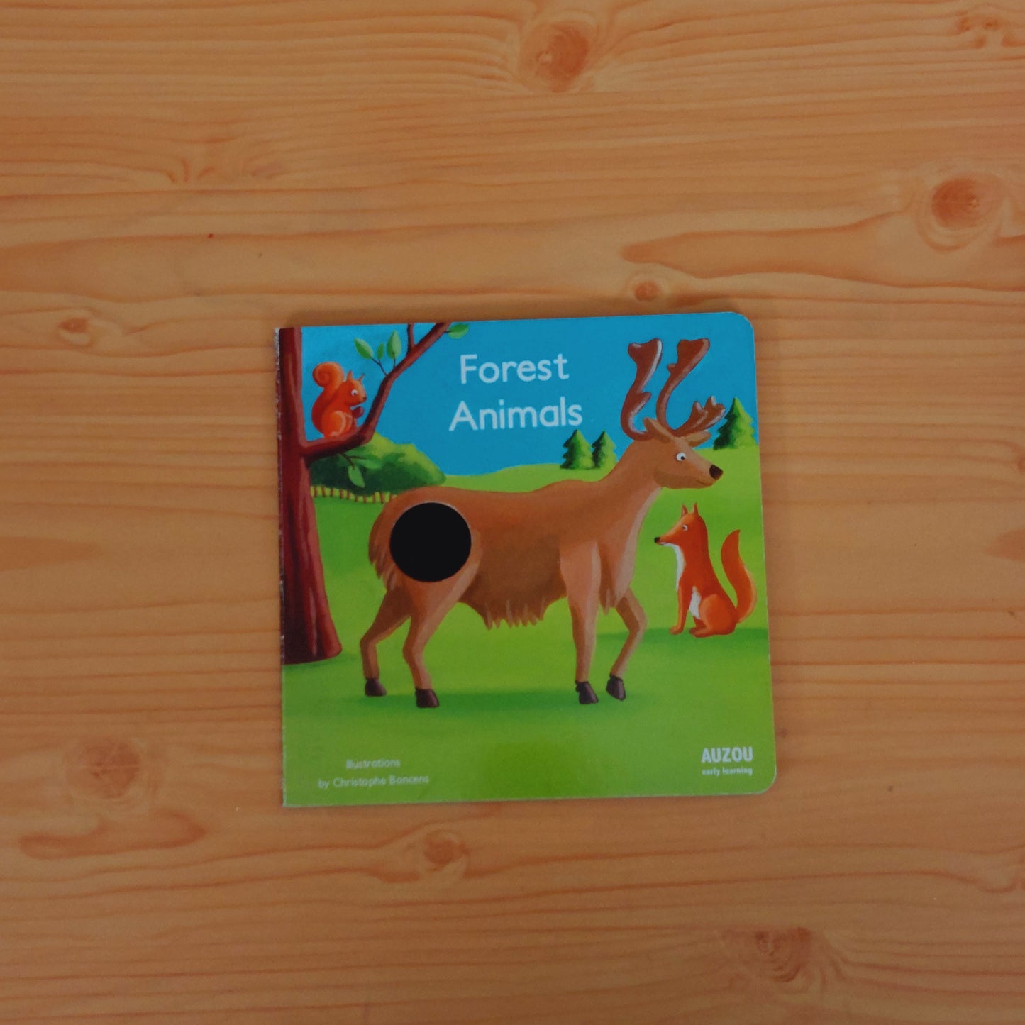 Forest Animals (Touch and Feel)