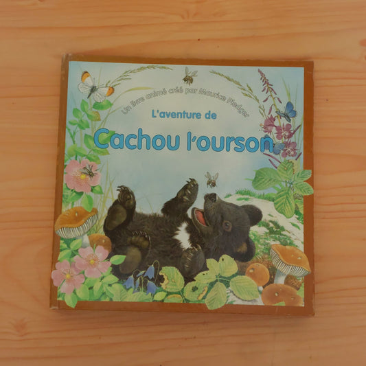 L'aventure de Cachou l'ourson