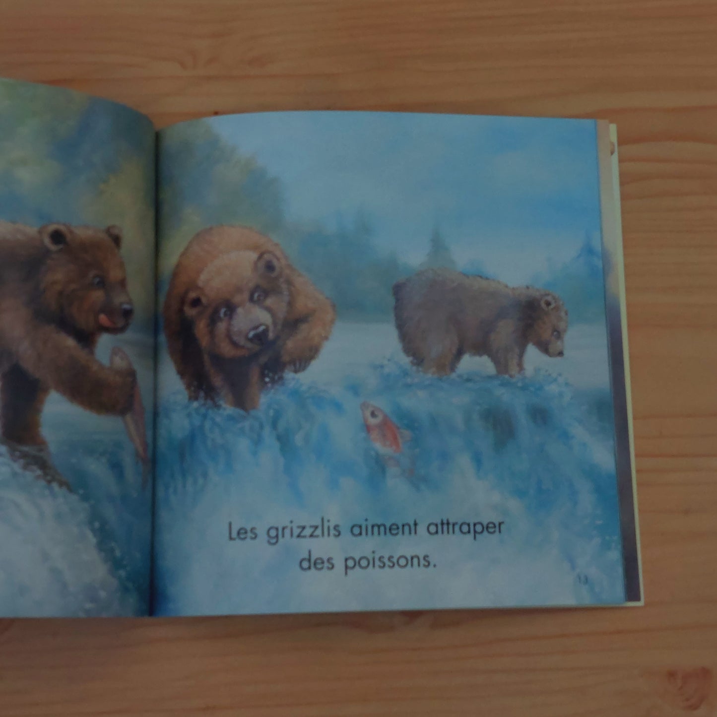 Un ourson pour Simon (Je veux lire)