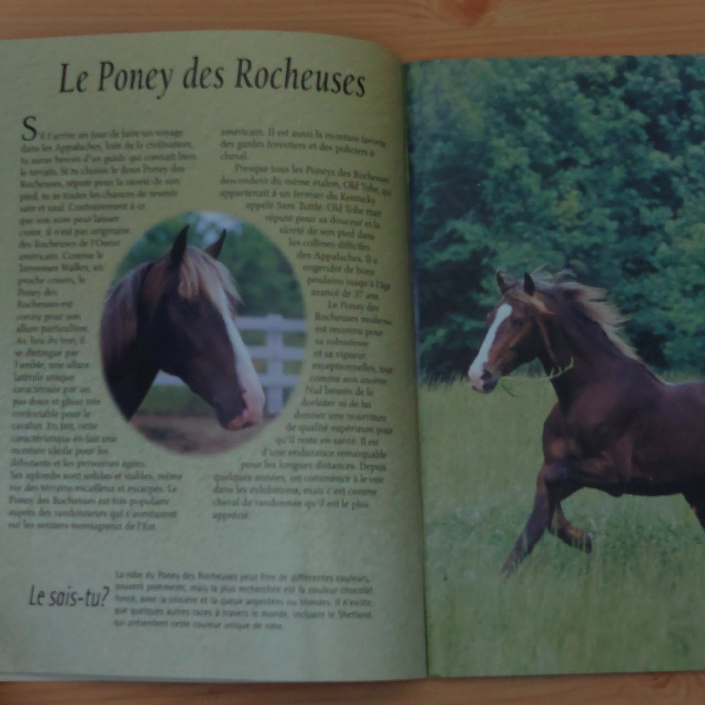 D'autres chevaux à l'affiche