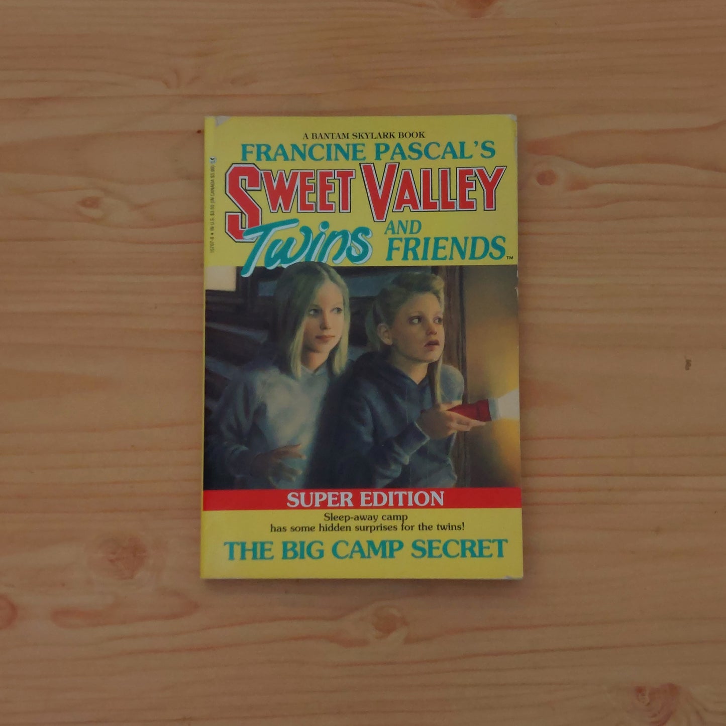 Sweet Valley Twins and Friends: Super Edition #3 The Big Camp Secret