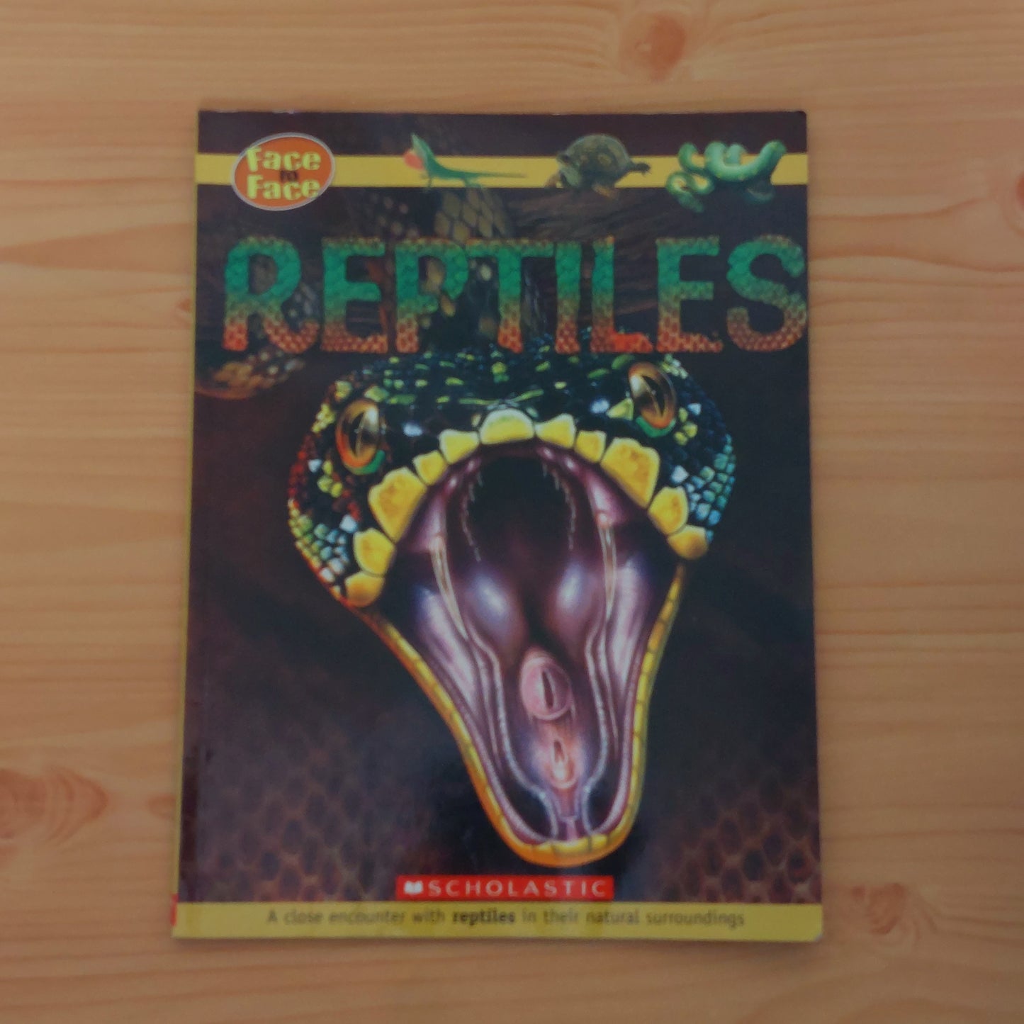 Reptiles