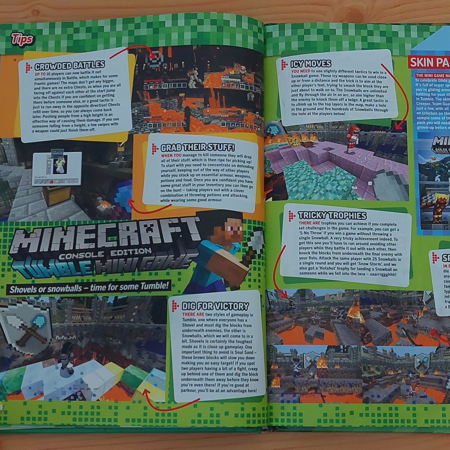 Minecraft 2019 Annual (Game Master)