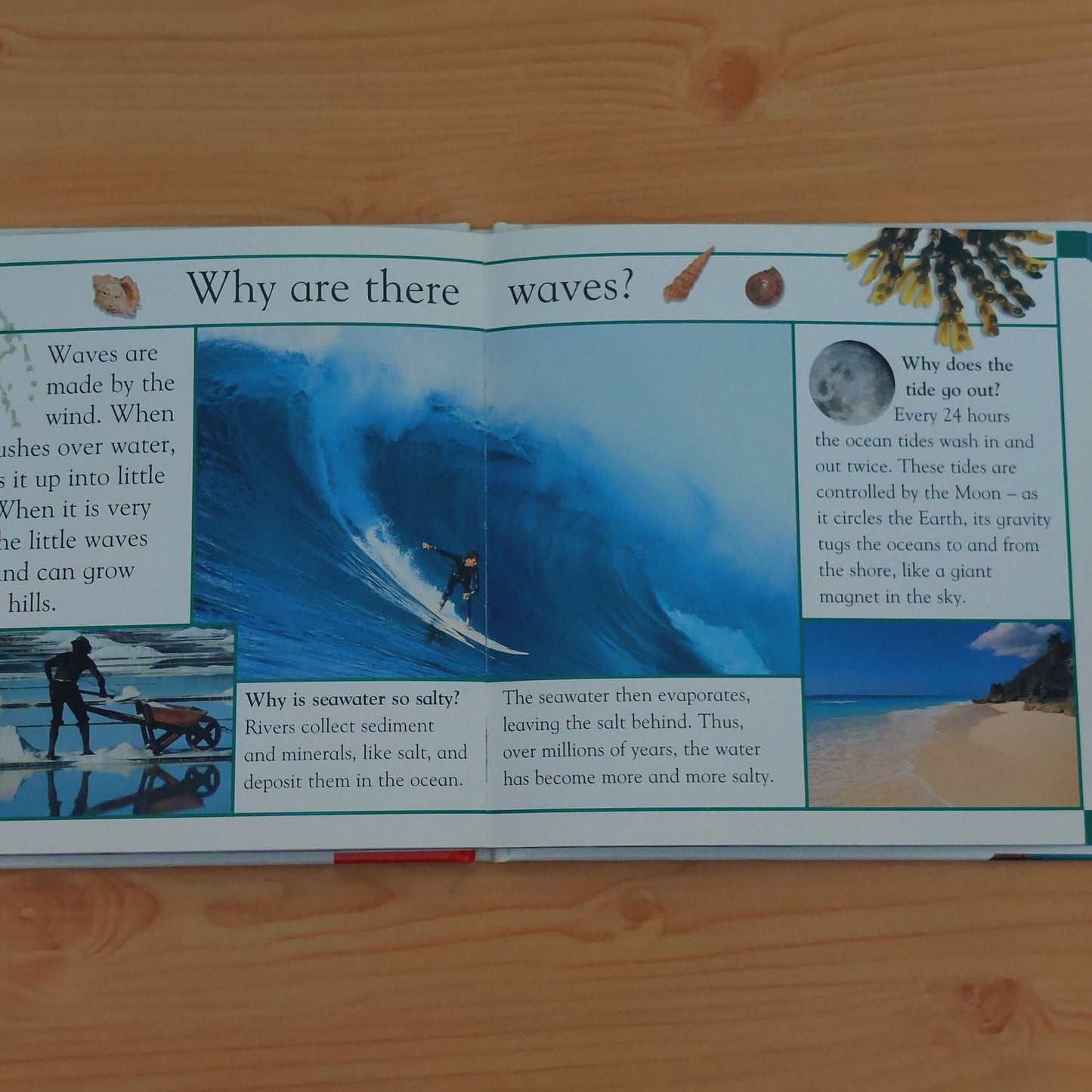 Why Are There Waves? Questions Children Ask About Water